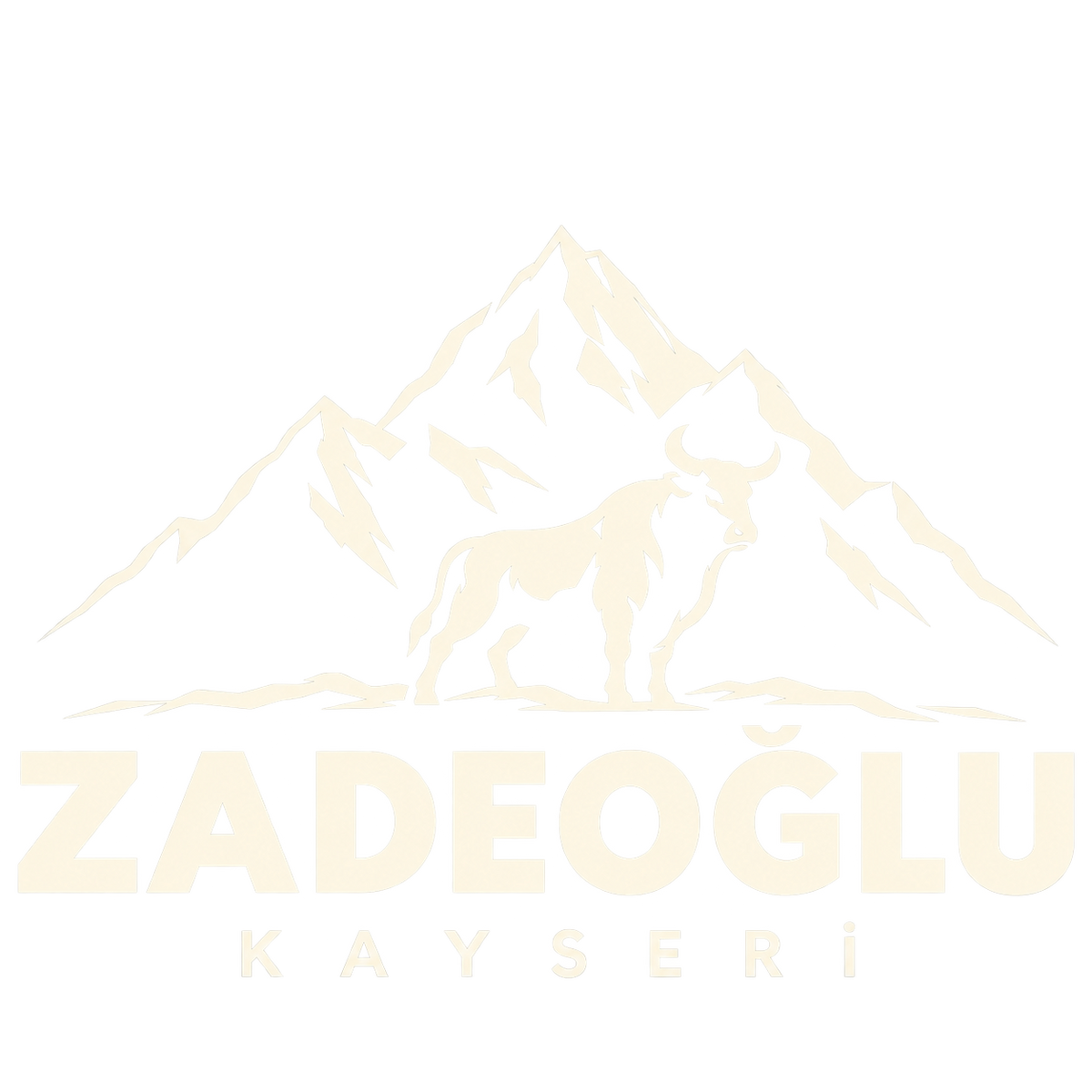 Zadeoğlu Gurme
